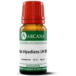 NAJA Tripudians LM 18 Dilution 10 ml
