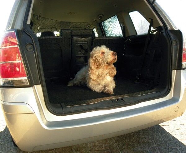 CARPOINT 0934501 Autonetz für Hunde