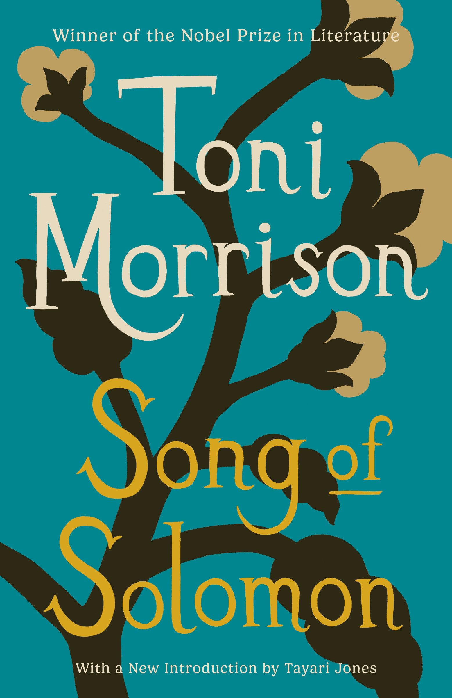 Toni Morrison - Song of Solomon: A Novel (Vintage International) - Preis vom 11.10.2026 03:10:56 h