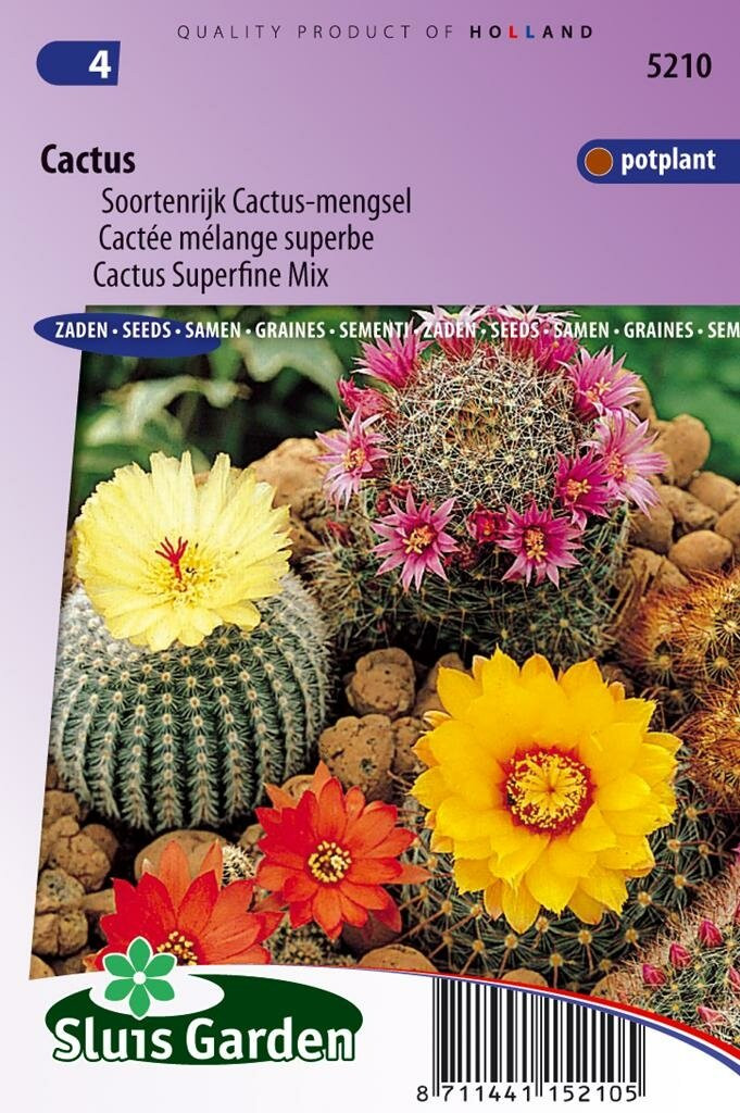 Sluis Garden Cacti Species Zaden Splendid Mixture Cactus