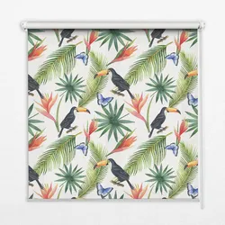 INNENROLLO - Fensterrollo - Rollo - 100x100 cm - Tukane auf Blumen