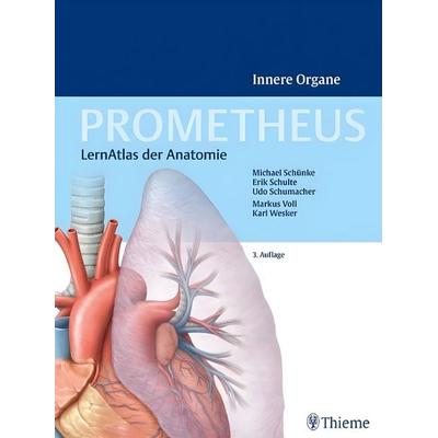 Prometheus Innere Organe, Gebundene Ausgabe von Michael Schünke,Erik Schulte,Udo Schumacher, Thieme