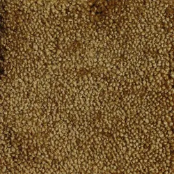 DEKOWE Teppich Galant Premium gold 160x230 cm oval
