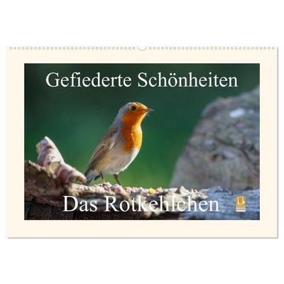 Gefiederte Schönheiten - Das Rotkehlchen (Wandkalender 2027 DIN A2 quer), CALVENDO Monatskalender