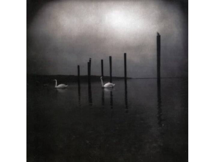 Om - Conference Of The Birds