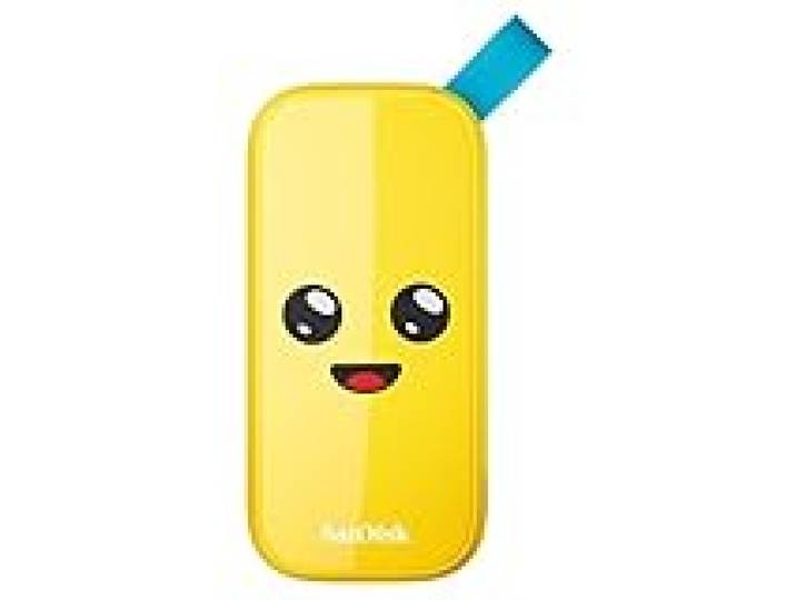 Sandisk Disque Dur SSD Portable Fortnite de 1 to, édition Peely – jusqu'à 800 Mo/s, USB-C, USB 3.2 Gen 2, Protection Contre Les Chutes – SDSSDE30-1T00-G25F