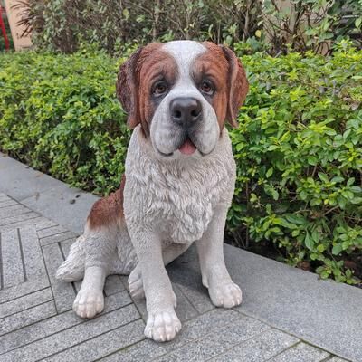Hi-Line Gift Alpine Guardian: Saint Bernard Polyresin Figurine in White and Brown