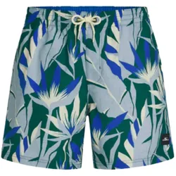 O'Neill Print 16 Swim Shorts blau