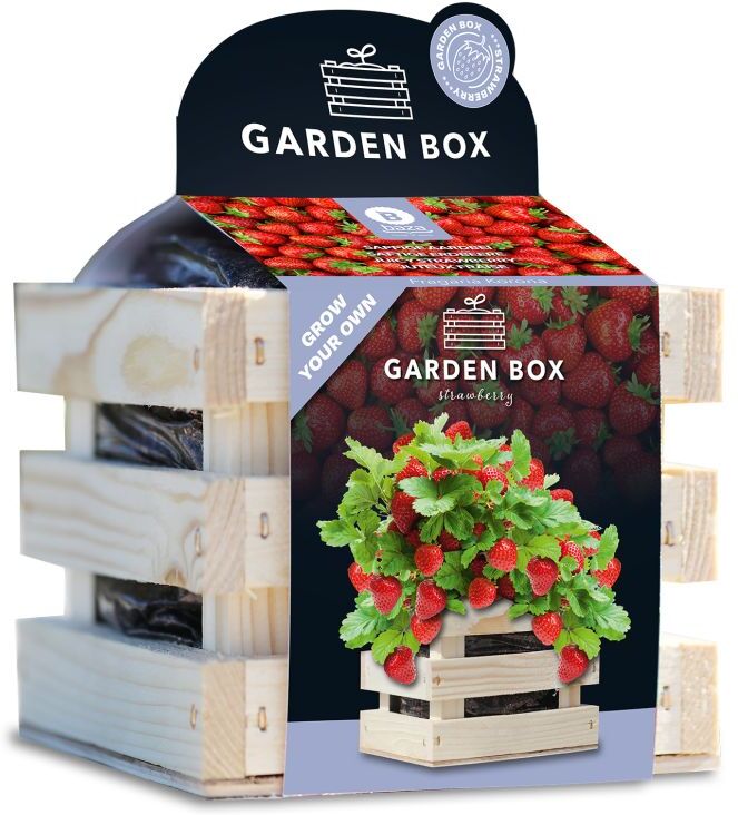 Baza Seeds Garden Box saftige Erdbeere
