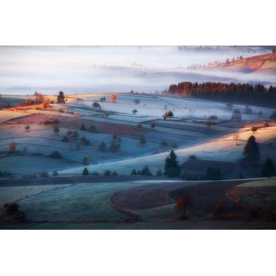 Fototapete PAPERMOON "Photo-Art AMIR BAJRICH, NEBEL", bunt, B:3,5m L:2,6m, Vlies, Tapeten