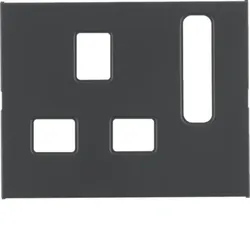 Berker Zentralstück British Std. 3313077006