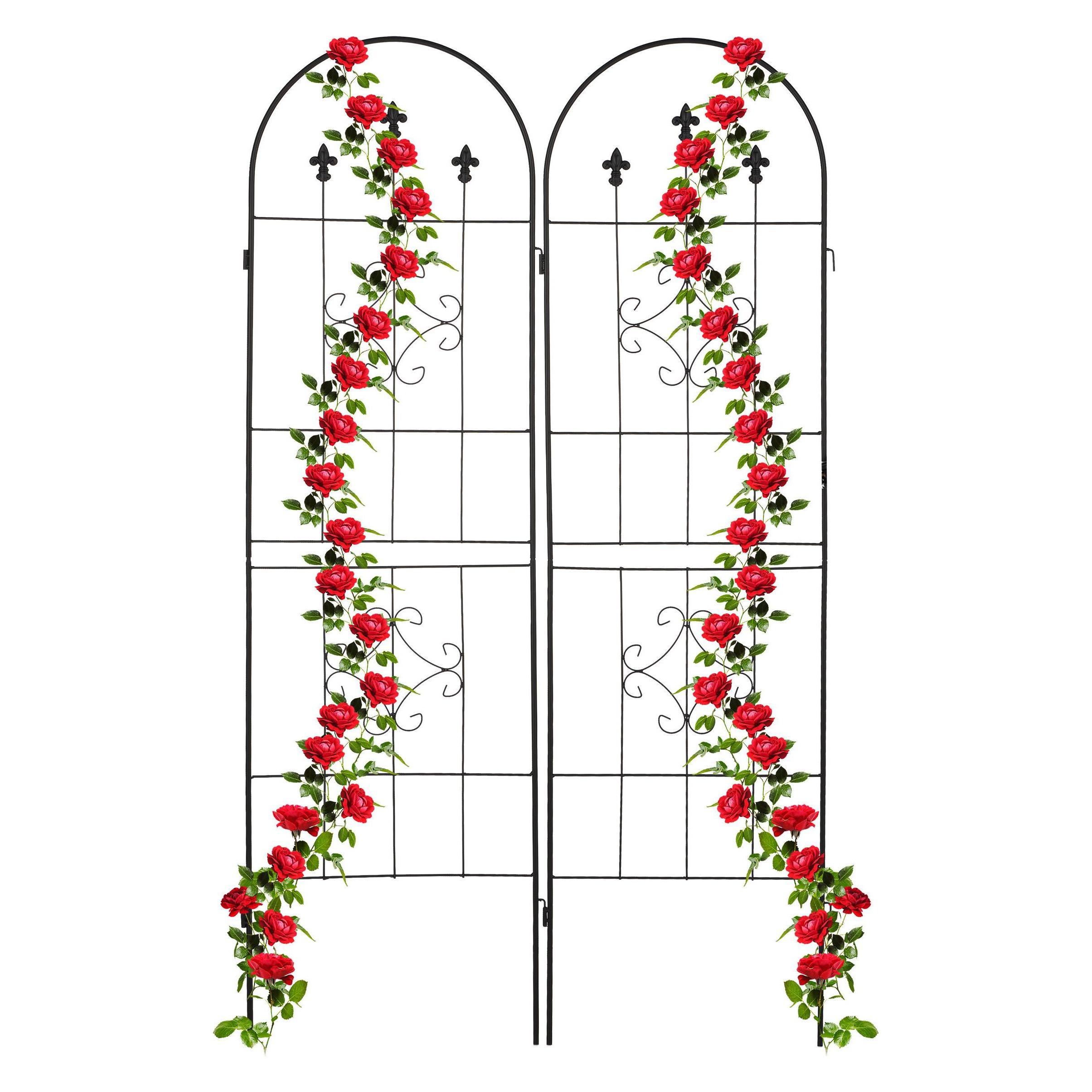 Relaxdays 2x Rankgitter (1 cm, 50 cm) (4052025417512)