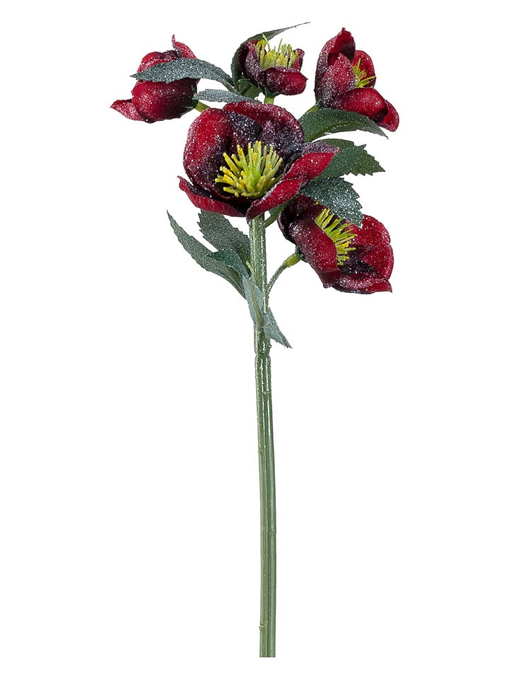 LEONARDO Kunstpflanze ''Christrose'' in Dunkelrot - (L)29 cm - onesize