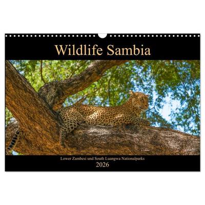 Wildlife Sambia (Wandkalender 2026 DIN A3 quer), CALVENDO Monatskalender