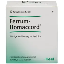 FERRUM HOMACCORD Ampullen 10 St Ampullen