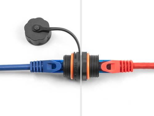 Delock RJ45 Netzwerk Adapter [1x RJ45-Buchse - 1x RJ45-Buchse] Schwarz