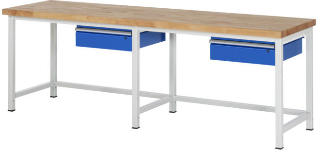 Établi Rau modèle 8001 LxPxH 2500x700x840mm (03-8001A1-257B4S.11)
