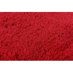 Teppich Pidy (BL 40x60 cm) - BL 40x60 cm