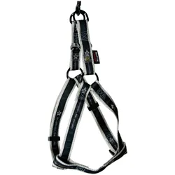 Martin Sellier Pets Connecti (L, Hund, Spazieren), Halsband + Leine
