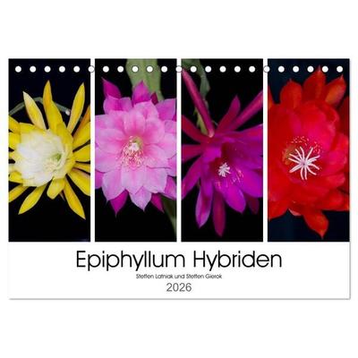 Epiphyllum-Hybriden (Tischkalender 2026 DIN A5 quer), CALVENDO Monatskalender