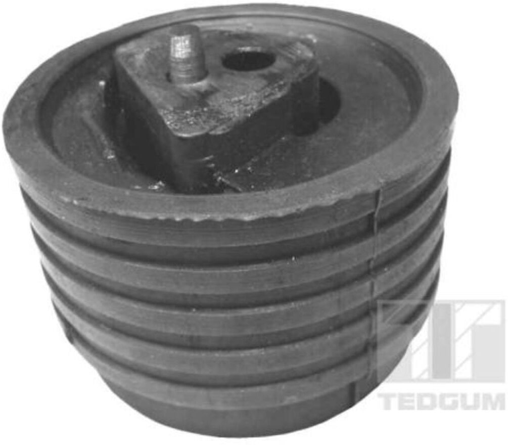 Lagerung, Motor TEDGUM 00614322
