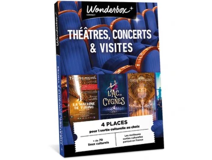 Théâtre, concerts & visites - Sortie culturelle pour 4 personnes