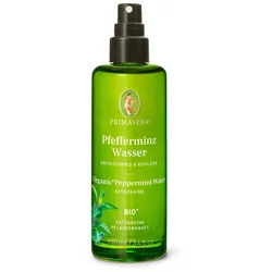 Pfefferminzwasser Bio Spray 100 ml