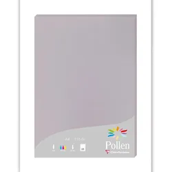 Pollen 10x Packung mit 25 Blatt Pollen A4 210x297 210g/m2 - Koalagrau 24232C