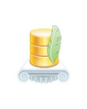 Devart LiteDAC Professional Edition Site License unbegrenzte Anzahl Entwickler 1 Unternehmen an 1 physischen Adresse ESD Linux Win Mac FreeBSD Android iOS (300537652)