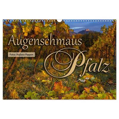 Augenschmaus Pfalz (Wandkalender 2026 DIN A3 quer), CALVENDO Monatskalender