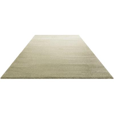 Teppich HOMIE LIVING "Lido HL-822937", grün (hellgrün), B:80cm H:18mm L:150cm, Polypropylen (PP), Teppiche, Teppich