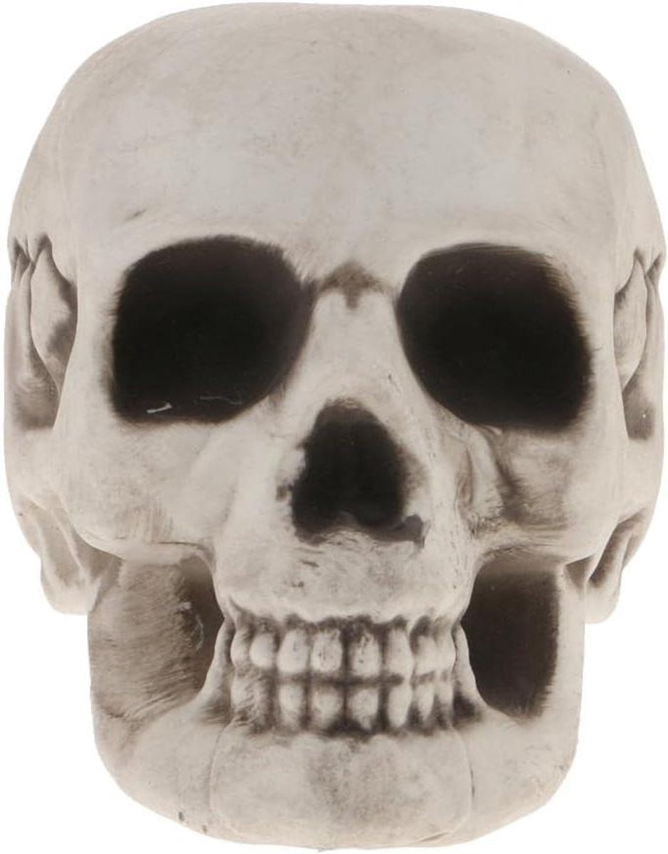 Wit Dieren Skelet Model Schedel Beeldje voor Halloween Decoratie, Hoogte: 18 cm