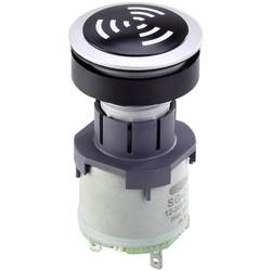 Schlegel RRJNSG+SG-24V Signalgeber Geräusch-Entwicklung: 85 dB Spannung: 24 V/AC Dauerton 1 St.