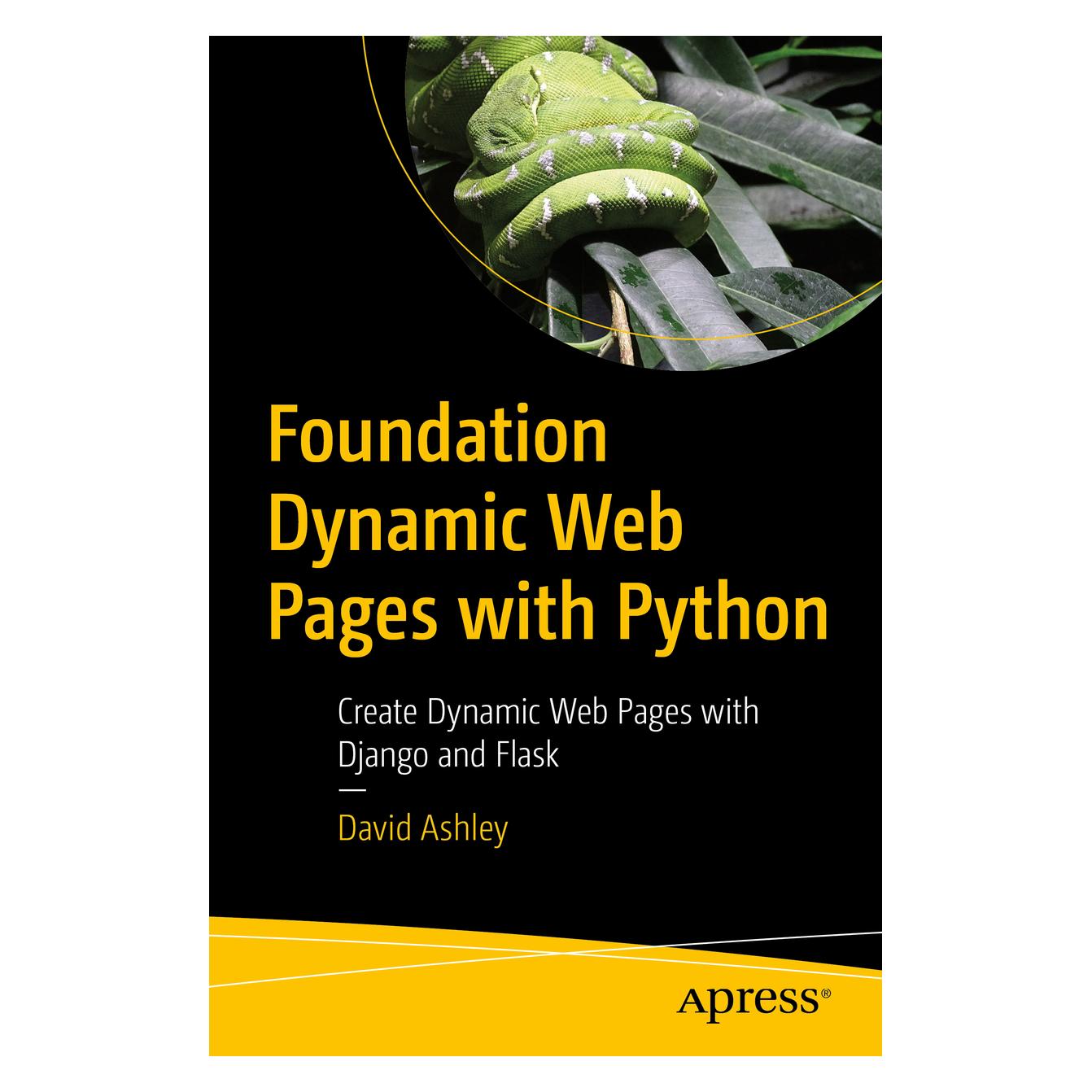 Springer Foundation Dynamic Web Pages with Python (Englisch, Softcover, David Ashley) (56152898)