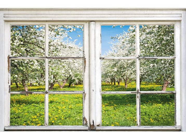 Leinwandbild QUEENCE Apfelbäume , grün (farbe bild(er): grün), B:30cm H:40cm, Canvas, Holzrahmen, Bilder, Leinwandbild, Premium-Leinwandstoff