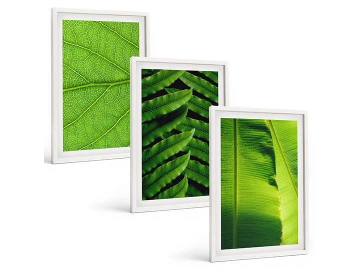 Tulup Bilder SET 3er Set - 40x60 cm Weißer Rahmen - Makrofotografie von tropischen Blättern, Kunststoff, Rechteckig, 40x60 cm, gerahmt, Bilder & Rahmen, Bilder