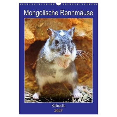 Mongolische Rennmäuse (Wandkalender 2027 DIN A3 hoch), CALVENDO Monatskalender