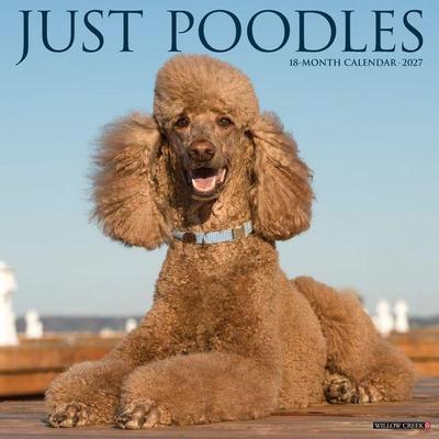 Poodles 2027 12 X 12 Wall Calendar