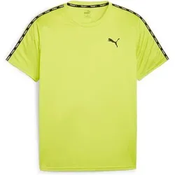 PUMA Herren Shirt Puma Fit Taped Tee, Größe S in Grün Grün