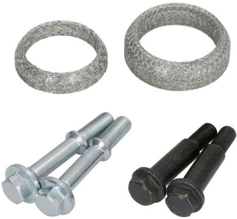 Montageelemente, Abgasanlage BM CATALYSTS FK91576B