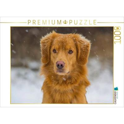 CALVENDO Puzzle Nova Scotia Duck Tolling Retriever im Schnee | 1000 Teile Lege-Größe 64x48cm Foto-Puzzle für glückliche Stunden