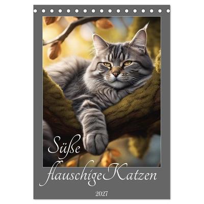 Süße flauschige Katzen (Tischkalender 2027 DIN A5 hoch), CALVENDO Monatskalender
