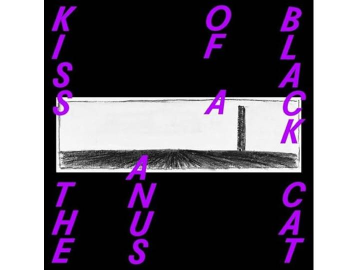 Kiss The Anus Of A Black - If The Sky Falls, We..