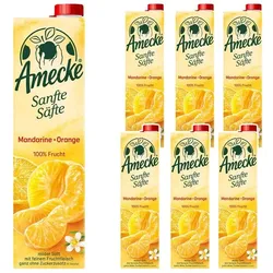 Amecke Sanfte Säfte Mandarine Orange Fruchtsaftkonzentrat