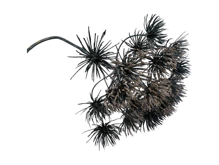 Kunstblume Magic Moments petrol Kunststoff H 76 cm - Kunstblume