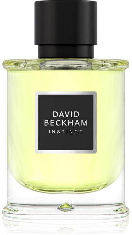 David Beckham Instinct EDP M 75 ml