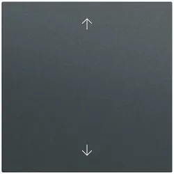 Gira Wippe Schalter anthrazit lackiert Pfeile 538973