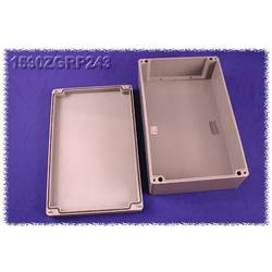 Hammond Electronics 1590ZGRP243PL 1590ZGRP243PL Einlegeplatte Stahlblech Natur 1 St.