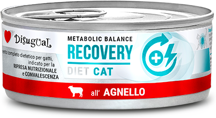 Disugual Recovery de Cordero 12 uds x 85g