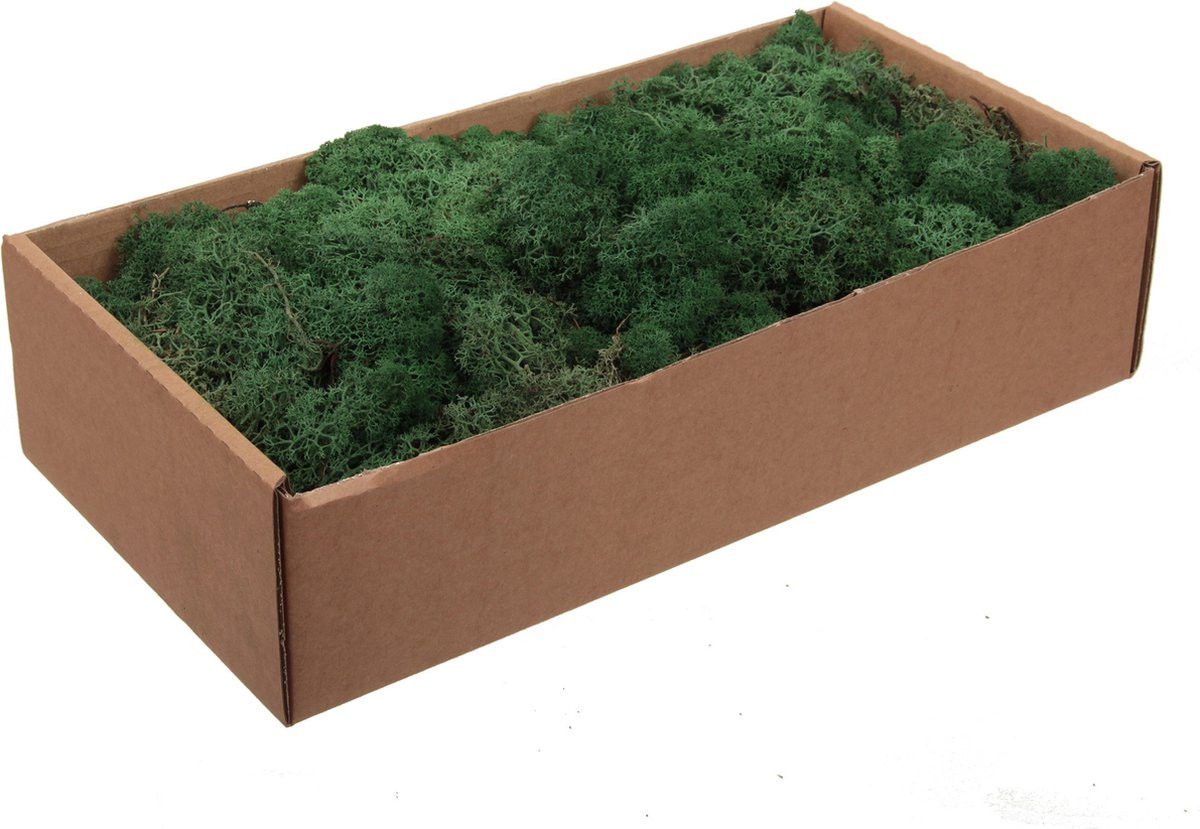 Othmar Decorations Finlands mos - donkergroen - 500 gram
